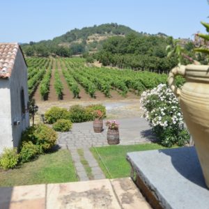 Agriturismo