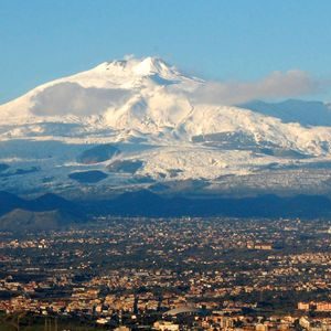 olive nocellara etna 02