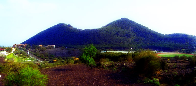 nicolosi pinede 1