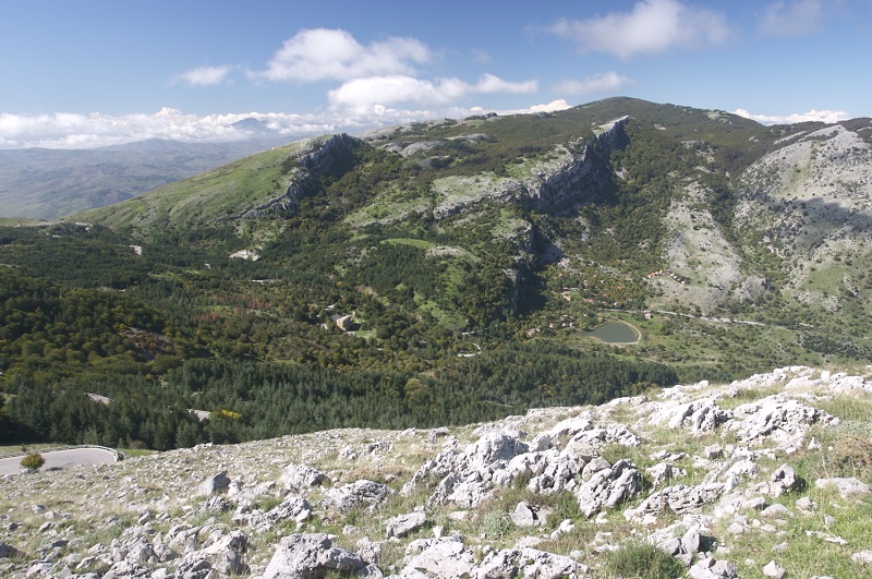 pizzo 1