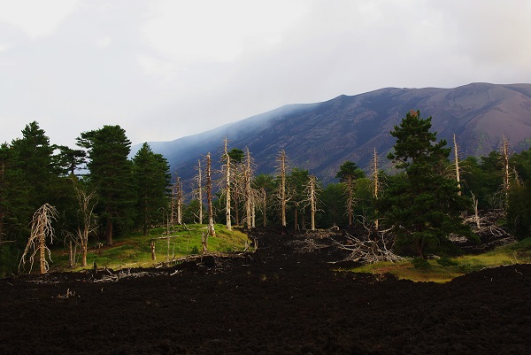 etna âne1