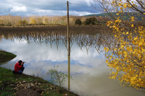 vignobles de gurrida