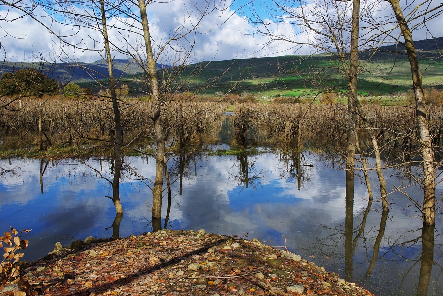 le lac gurrida
