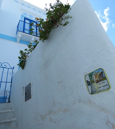 l'île Panarea(2)