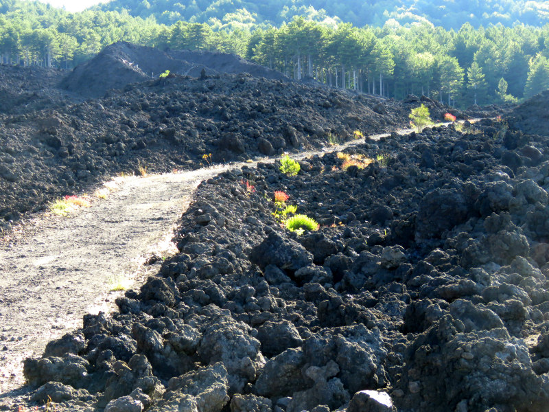 LAVE D ETNA (1)