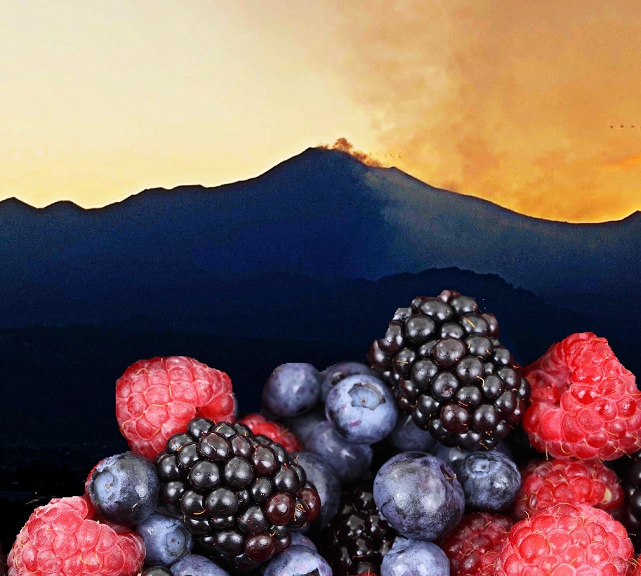 baies etna top