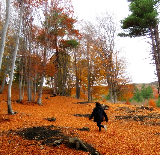 etna automne 5 choses 2