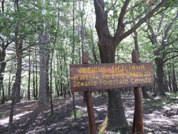 lieu d'été ETNA_  (2)