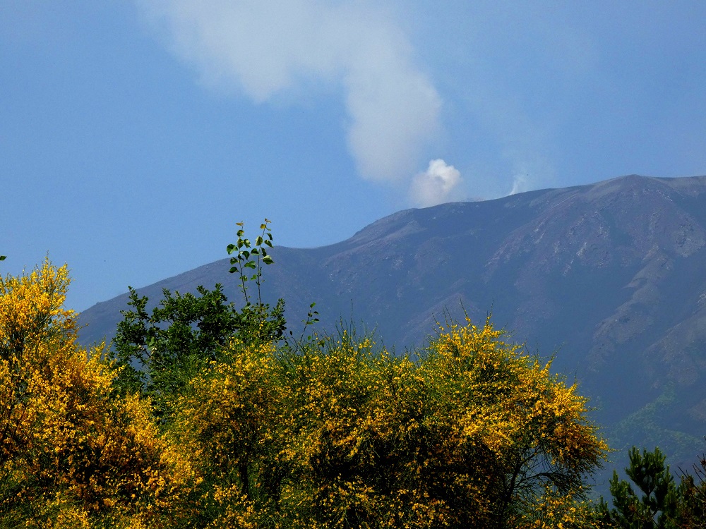 lieu d'été ETNA_ TOP