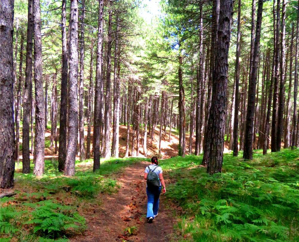 randonnee et hiking ETNA