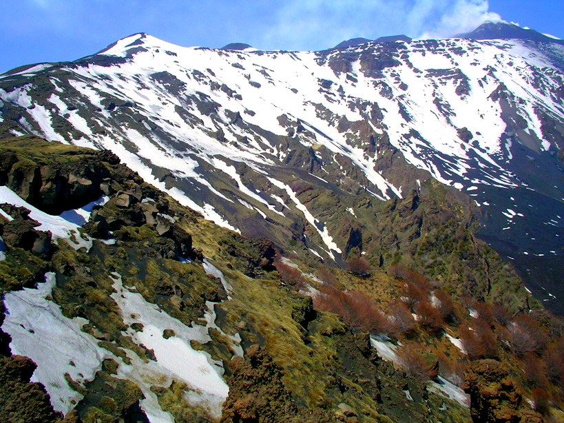 Dos de l’Âne