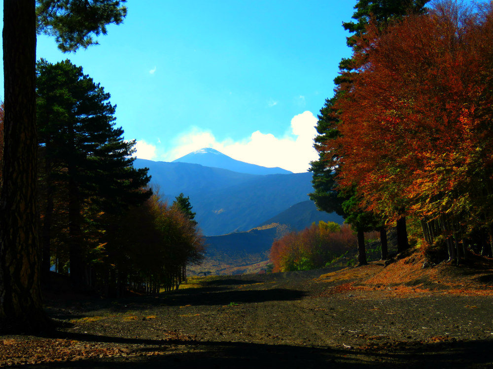 dagalas d'automne