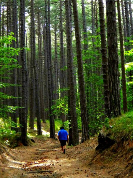 randonneurs solitaires d'Etna 2
