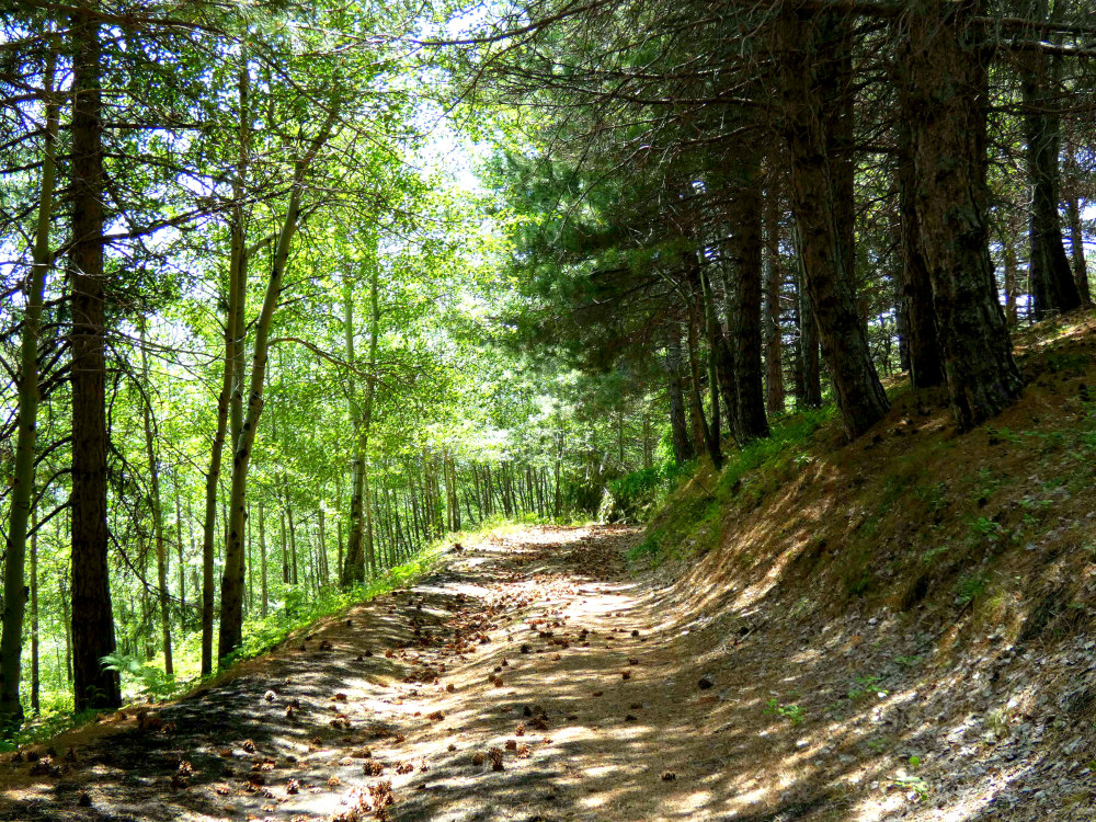 monte manfre