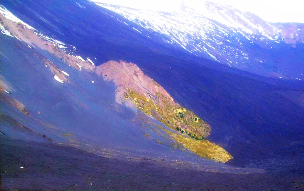 Vallée del Bove et chèvres
