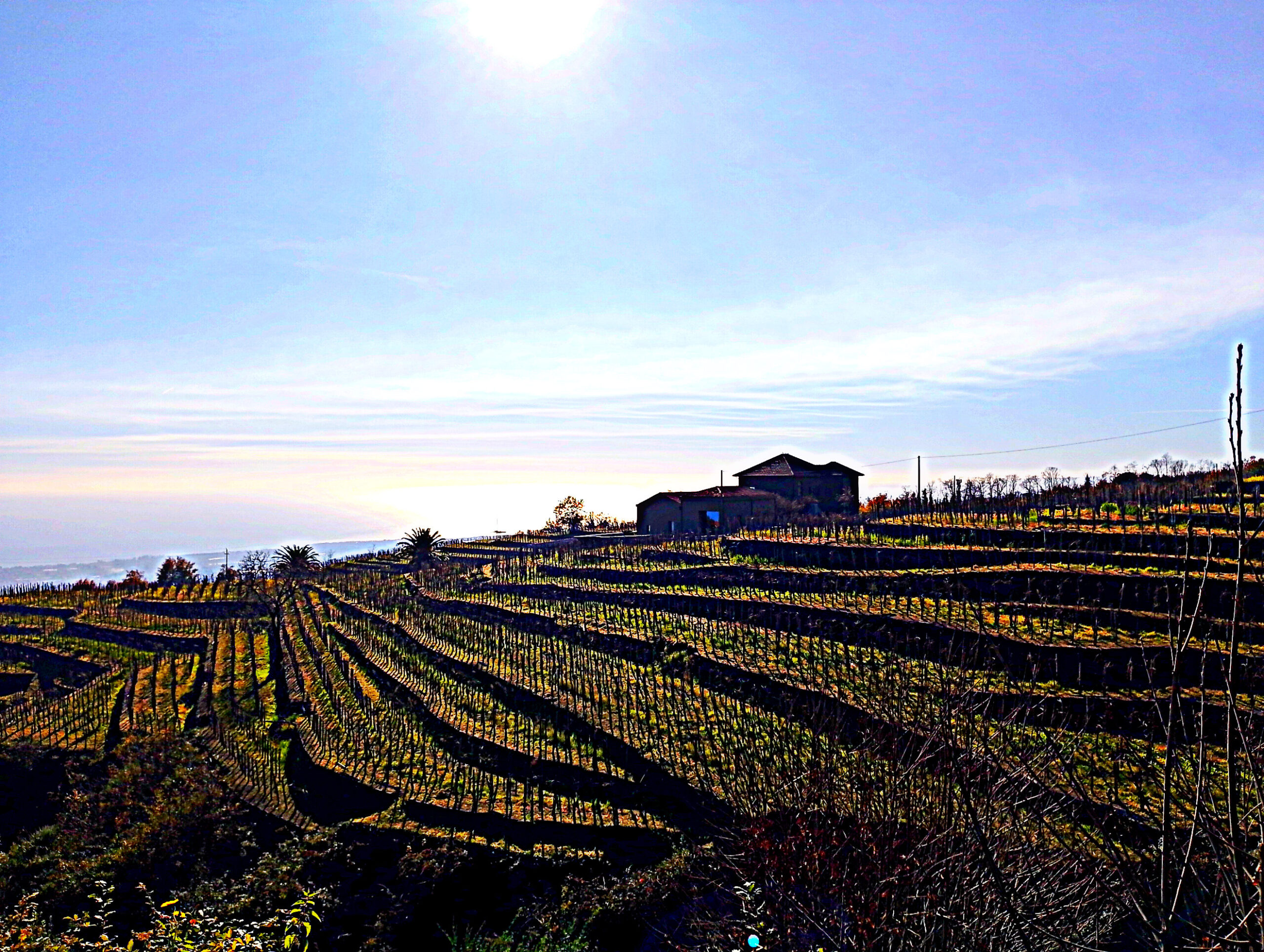 ETNA VINS