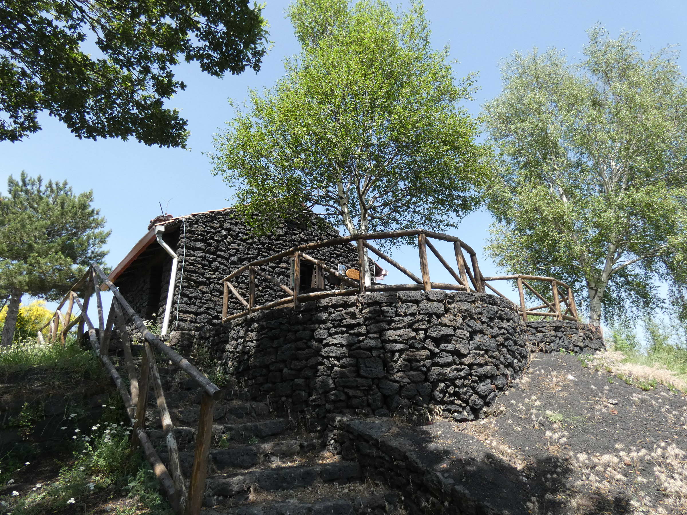 P1000958